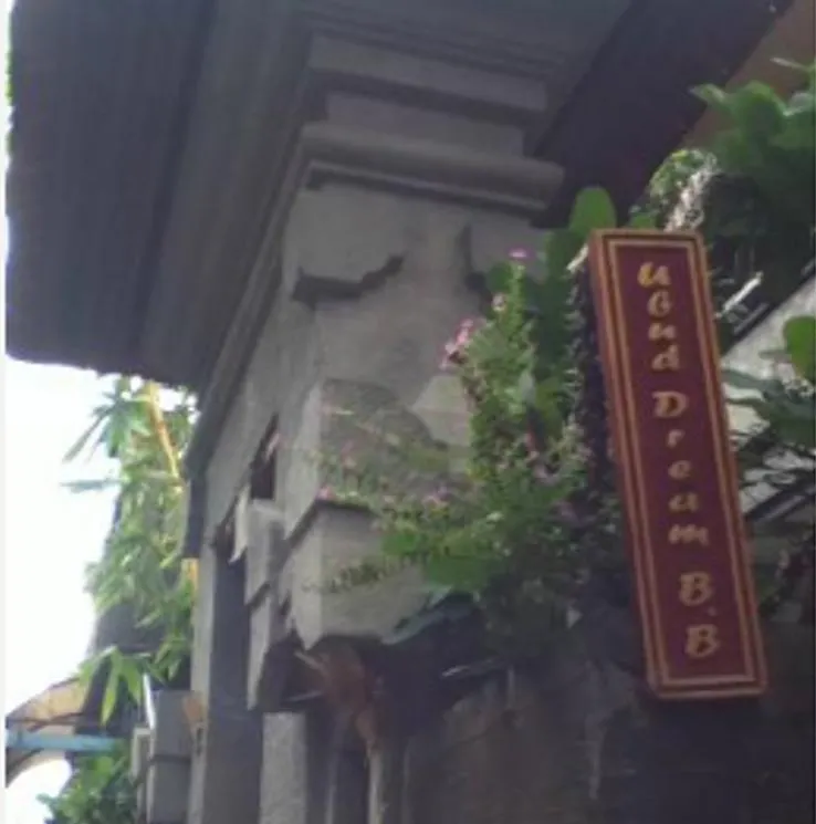 Ubud Dream Indonésia