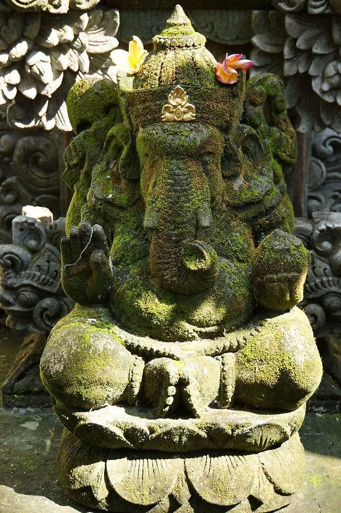 Ubud Dream